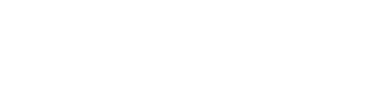 ParallelNetwork.dd864c44.png